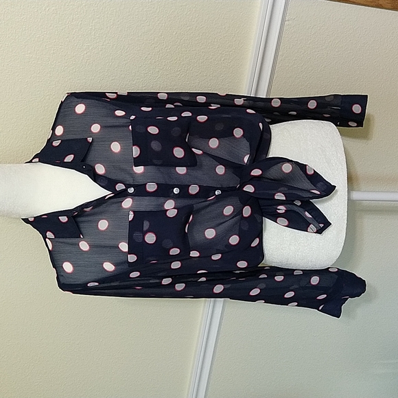 Hollister Sheer Polka Dot Blouse - Picture 2 of 9